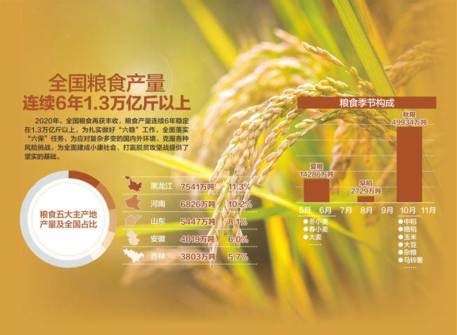 为何今年全国粮食产量再创新高？政策、科技与汗水共筑丰收答卷